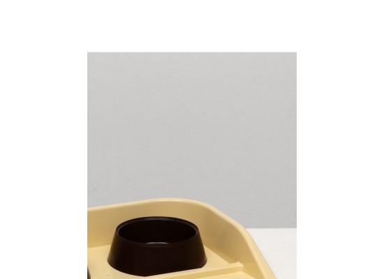 Миски с лотком "Феликс" 0,3 л, 41 x 30 x 6 см, молочный лоток, шоколадные миски