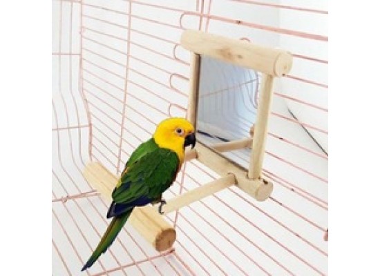 Игрушка для попугаев Зеркало с жердочкой 9см 5225